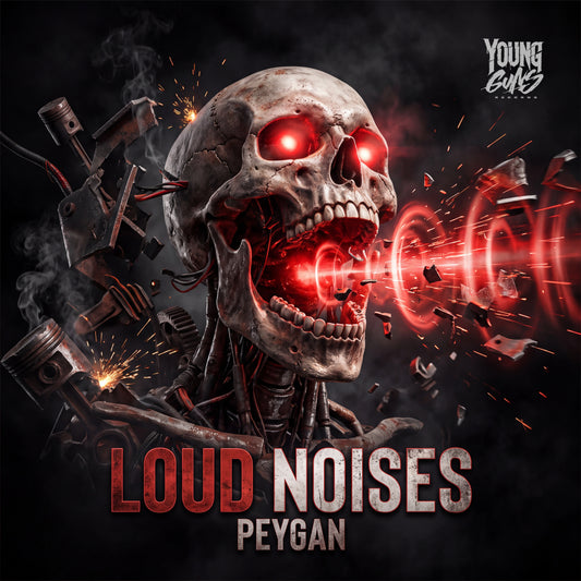 PEYGAN - LOUD NOISES