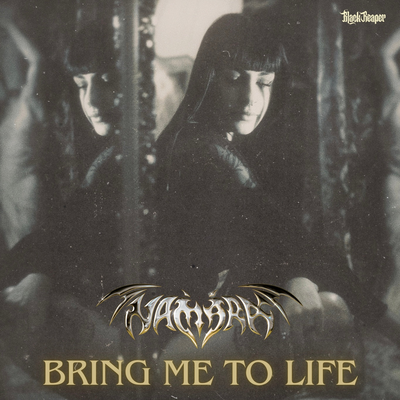 Namara - Bring Me To Life
