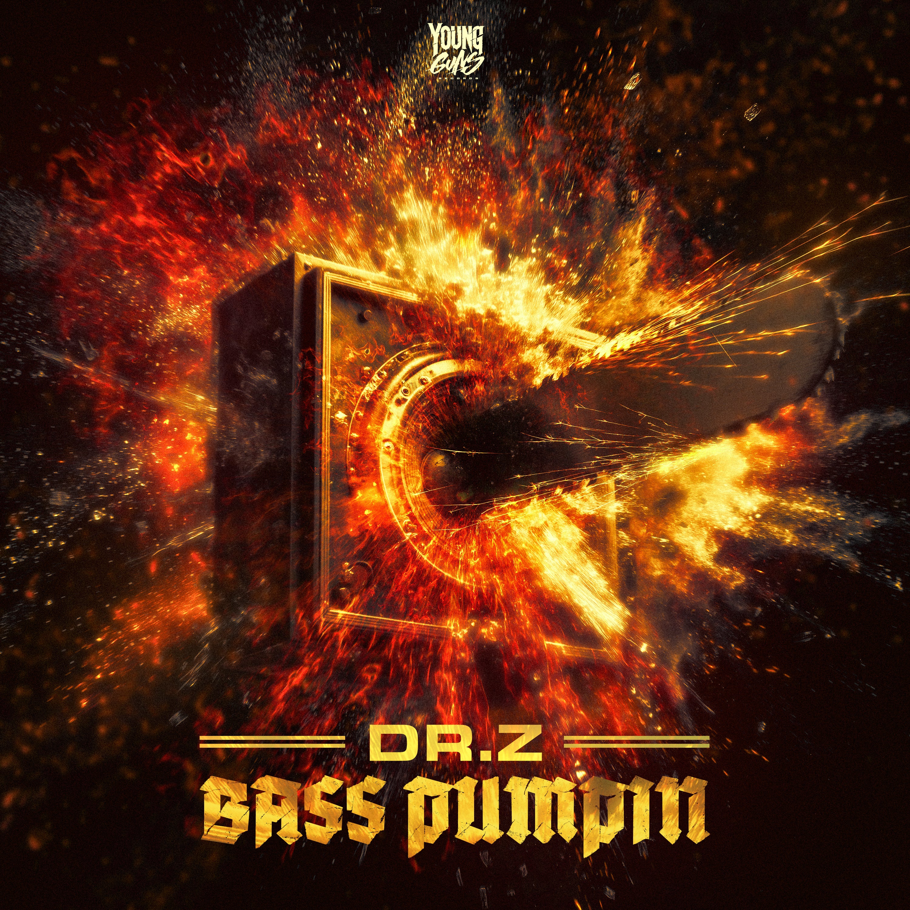 Dr.Z - BASS PUMPIN